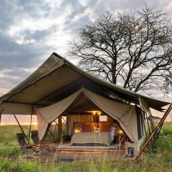 Tanzania Safari Cost: What You’ll Actually Pay&hellip;