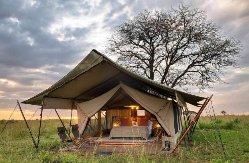 Tanzania Safari Cost: What You’ll&hellip;