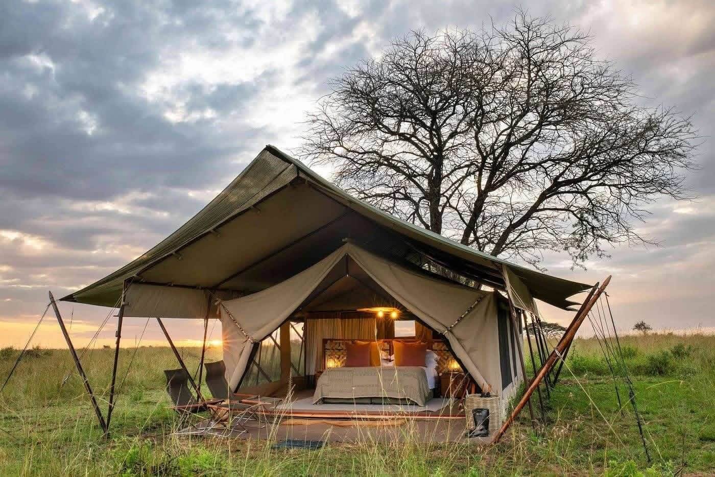 Tanzania Safari Cost: What You’ll Actually Pay in 2026